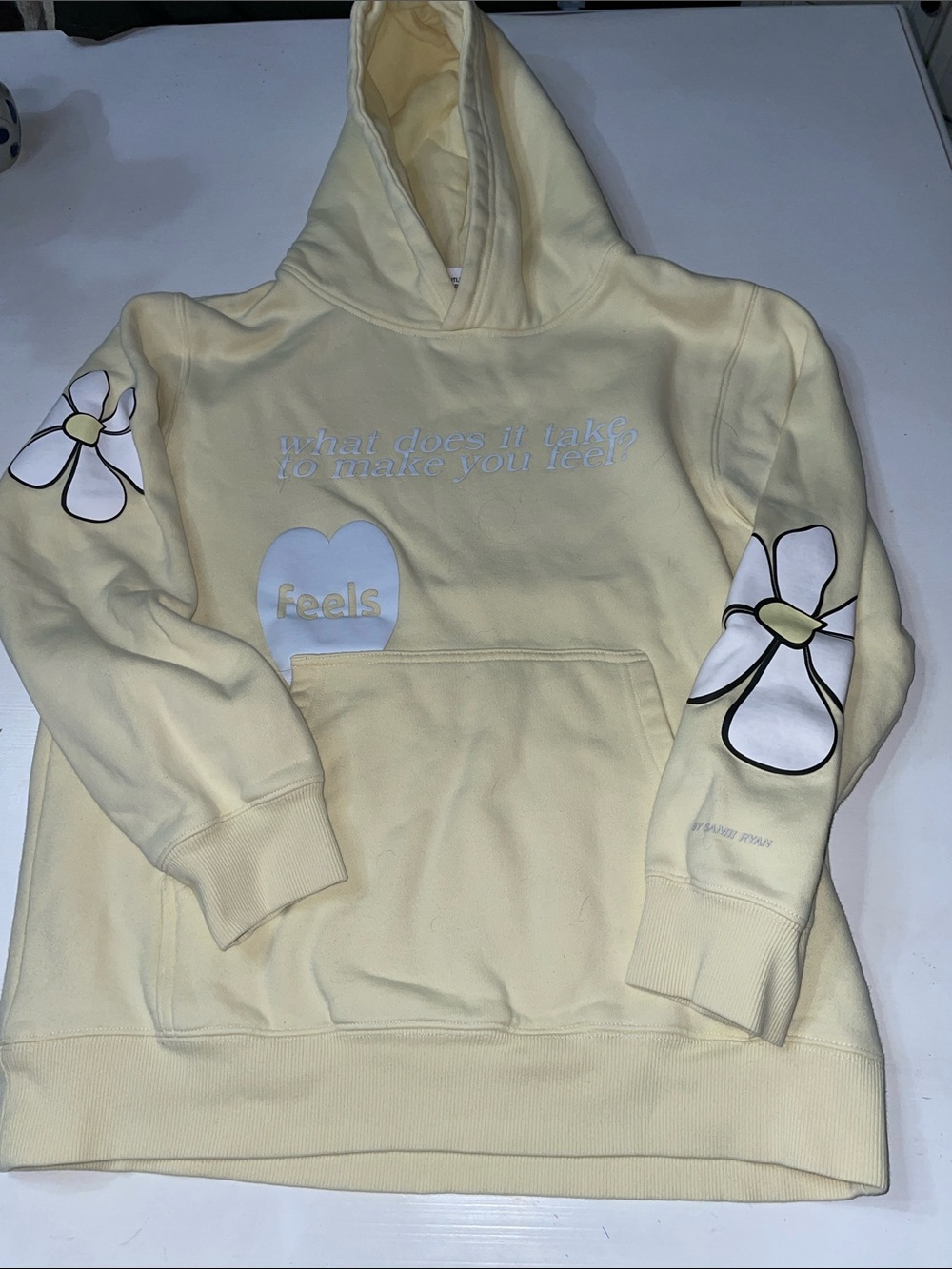 BSR Samii Ryan what does it take to make you feel hoodie small